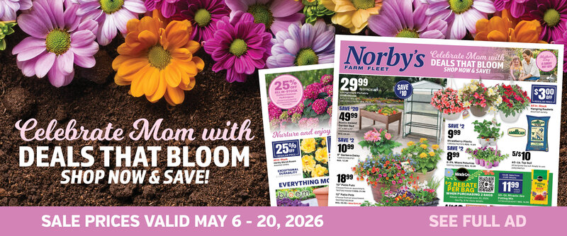 Spring Deals